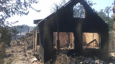 Журналістка показала фото наслідків жахливих пожеж, які знищують містечка і позиції / © facebook/Алла Хоцянівська