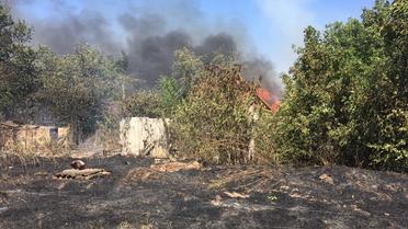 Журналістка показала фото наслідків жахливих пожеж, які знищують містечка і позиції / © facebook/Алла Хоцянівська