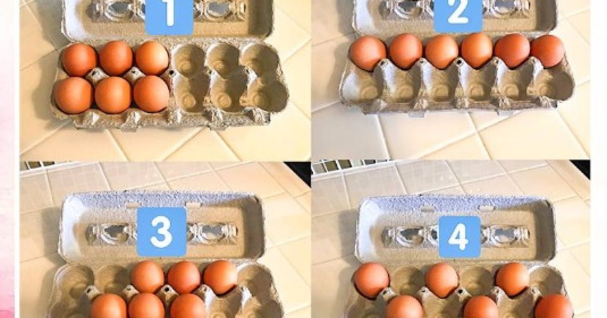 Тест, як ти розкладеш яйця визначить характер