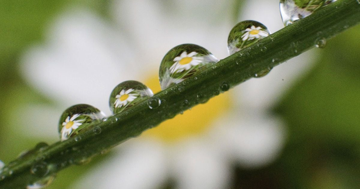Погода на неділю: в Україні очікують теплу, але дощову погоду