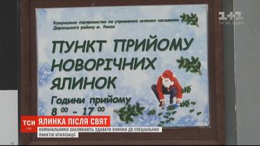 Друге життя старої ялинки: комунальники закликають нести хвою у пункти для утилізації