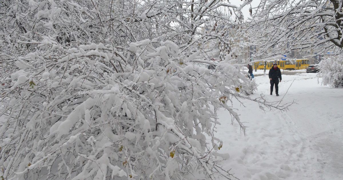 Тіло знайшли на стадіоні: у Львівській області від переохолодження померла жінка