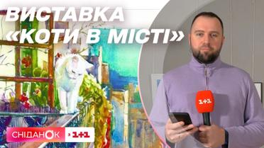 Коты в городе: в КПИ открыли праздничную выставку художников и архитекторов