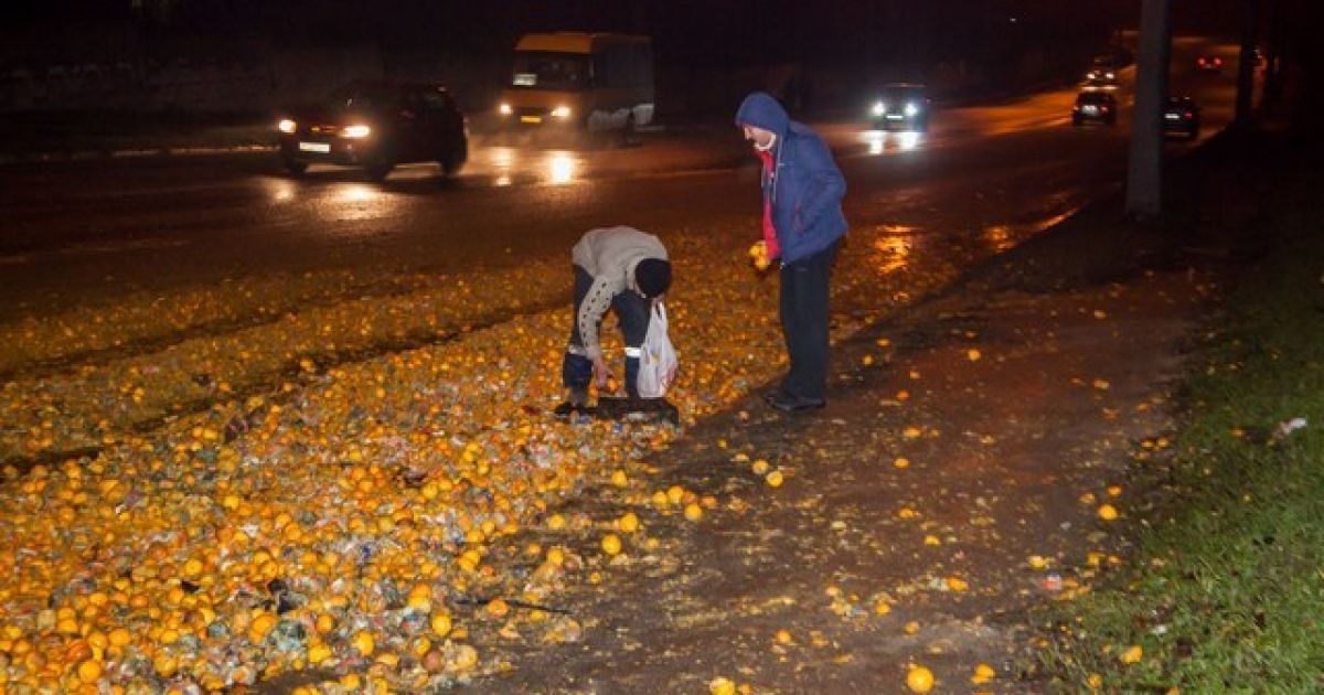 мандарини у Дніпрі_5 / © Gorod.dp.ua
