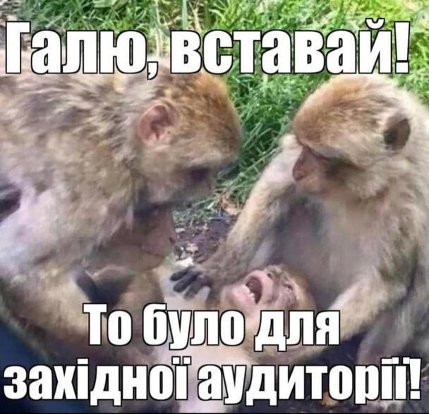 Мем про статтю Time / Зображення із соцмереж