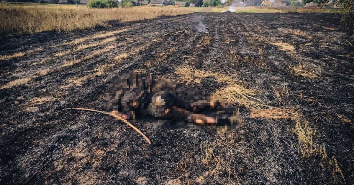 В Киевской области во время обжига сухостоя погибла женщина