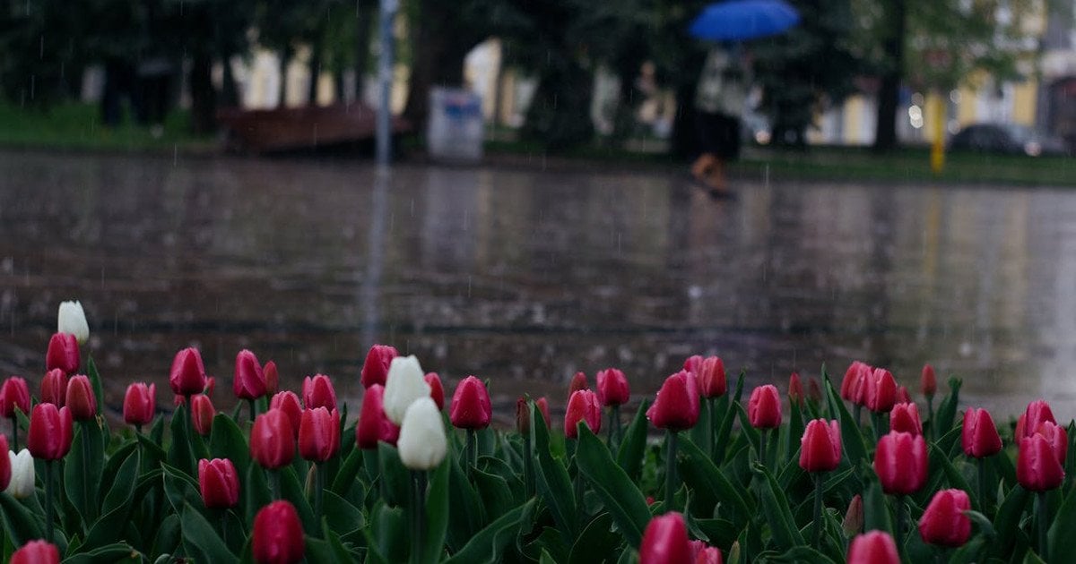 До України йде похолодання та дощі