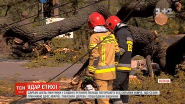 Одразу шість регіонів Польщі потерпають від сильних вітрів