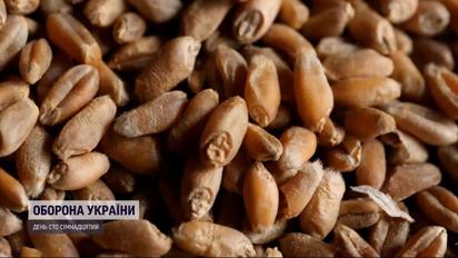 За рахунок вкраденого в Україні: Путін заявив, що Росія збільшить продаж зерна