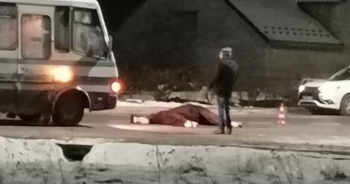 Во Львовской области рейсовый автобус насмерть сбил лошадь