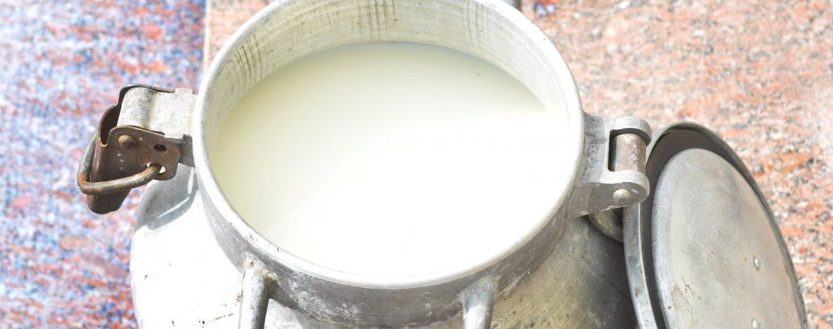 Украина опустилась в рейтинге мировых производителей молока