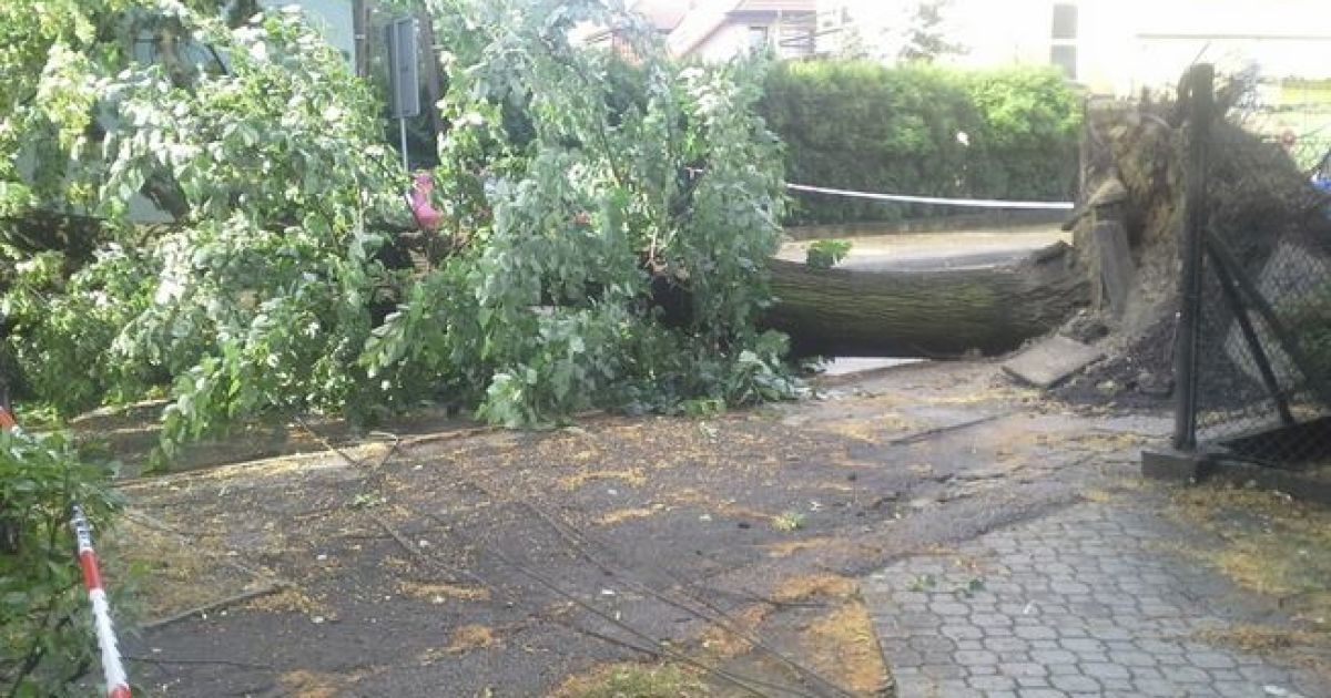 Польшей пронесся мощный ураган / © rmf24.pl