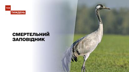 Новости недели: в "Аскании Новой" в муках умирают тысячи краснокнижных птиц