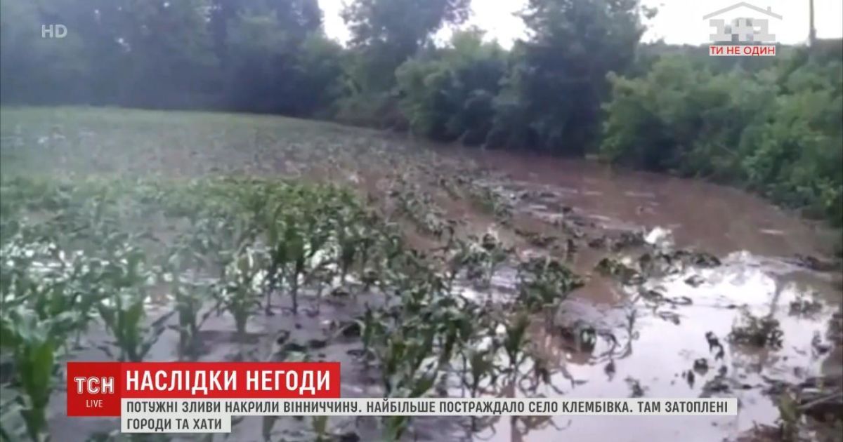 В Винницкой области прошли мощные ливни: за несколько минут затопило подворья