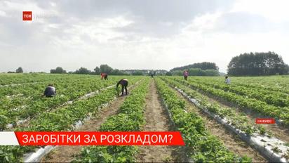 Несмотря на карантин украинцы полетели чартерными рейсами на заработки в Финляндию