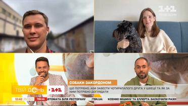 Які норми утримання собак в Україні та за кордоном