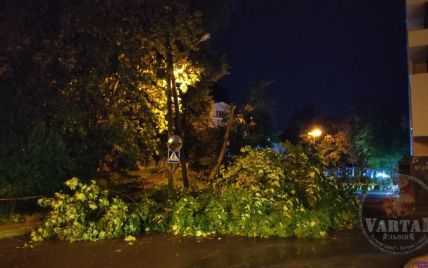 Повалені дерева, пошкоджений МАФ, автомобілі та рекламні щити: у Львові вночі лютував буревій (фото)