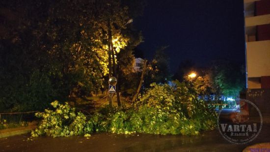 Повалені дерева, пошкоджений МАФ, автомобілі та рекламні щити: у Львові вночі лютував буревій (фото)