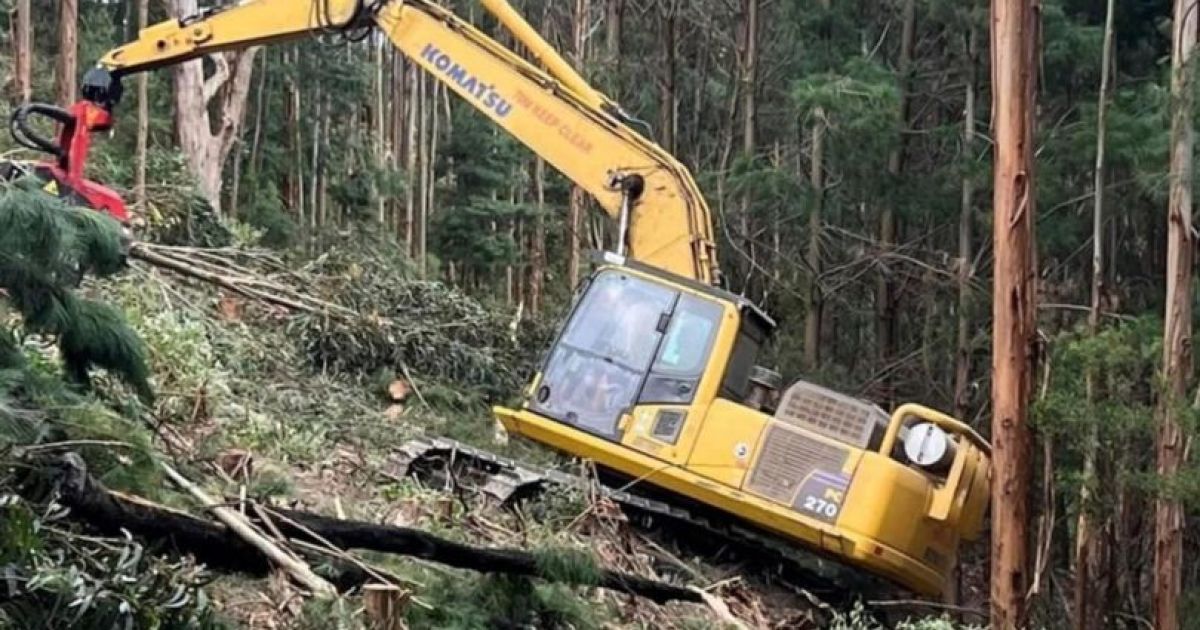 Жінка побачила моторошний силует на "невинному фото" коханого: що було на знімку