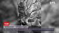 Новости мира: принц Гарри и Меган Маркл ждут второго ребенка