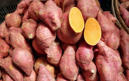Сезон батату: як вирощують солодку картоплю в Україні, яка ціна та користь овочу
