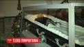 Після нового бальзамування тіло Пирогова посвітлішало і набуло більш природних людських рис