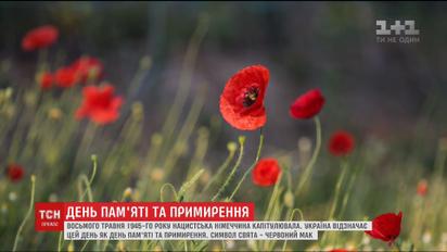 История возникновения символа Дня памяти и примирения красного мака