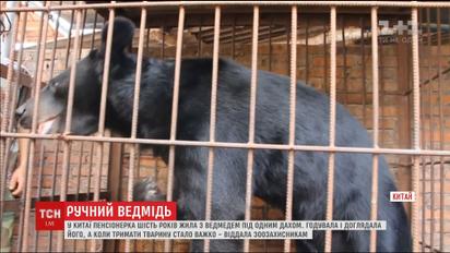 В Китае пенсионерка шесть лет держала у себя дома гималайского медведя