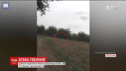 Встреча с дуэнде: в Аргентине сняли на видео существо, которое девочки-подростки приняли за гоблина