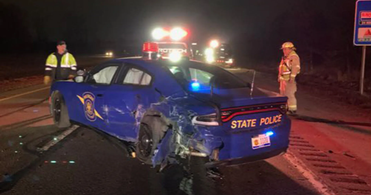 Їхав автопілотом та мав недійсні права: у США водій кросовера Tesla протаранив поліцейський автомобіль