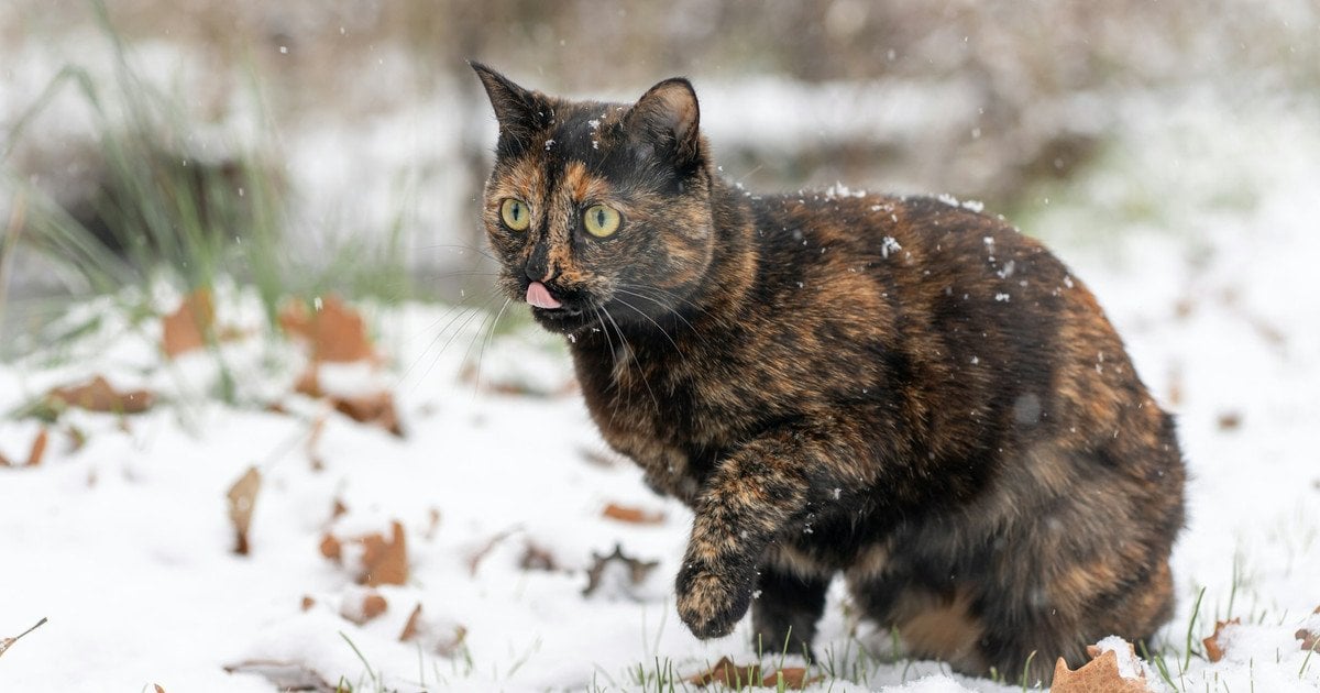 Який сьогодні, 4 грудня, день ангела