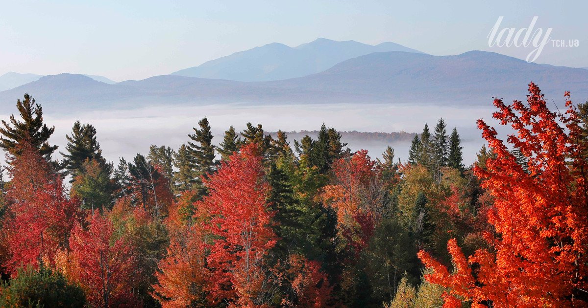 Гороскоп на листопад 2025 року