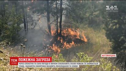 Людська недбалість та погода: українців попереджають про найвищий рівень пожежної загрози