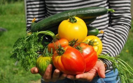 Цены на овощи "кусаются": где в Украине самые дорогие помидоры и когда подешевеют огурцы