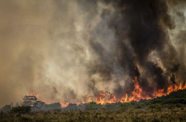 Огонь вблизи Кейптауна / © Associated Press