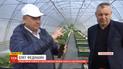 Тернопольские ученые и агрономы разрабатывают эликсир для роста дубов