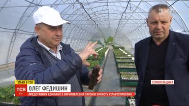 Тернопольские ученые и агрономы разрабатывают эликсир для роста дубов