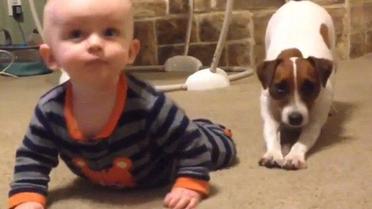 Собака навчає малюка повзати / © YouTube/Cevaplio Com