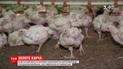 В Украине значительно выросла цена на мясо