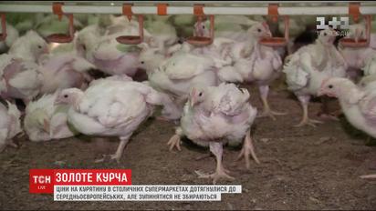В Україні значно зросла ціна на м'ясо