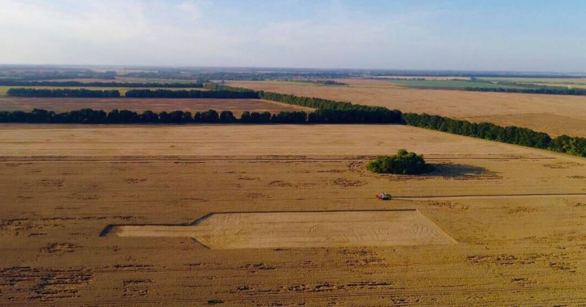На пшеничному полі під Києвом з'явилася гігантська фігура пляшки Hlibny Dar