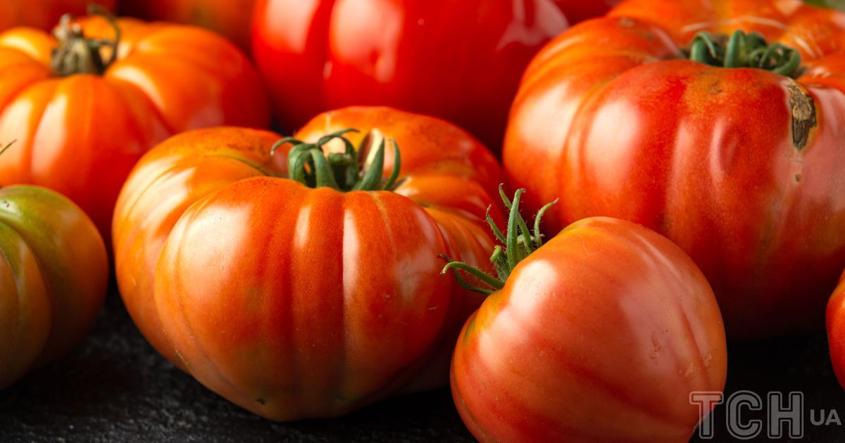 Як зробити найкраще добриво для томатів