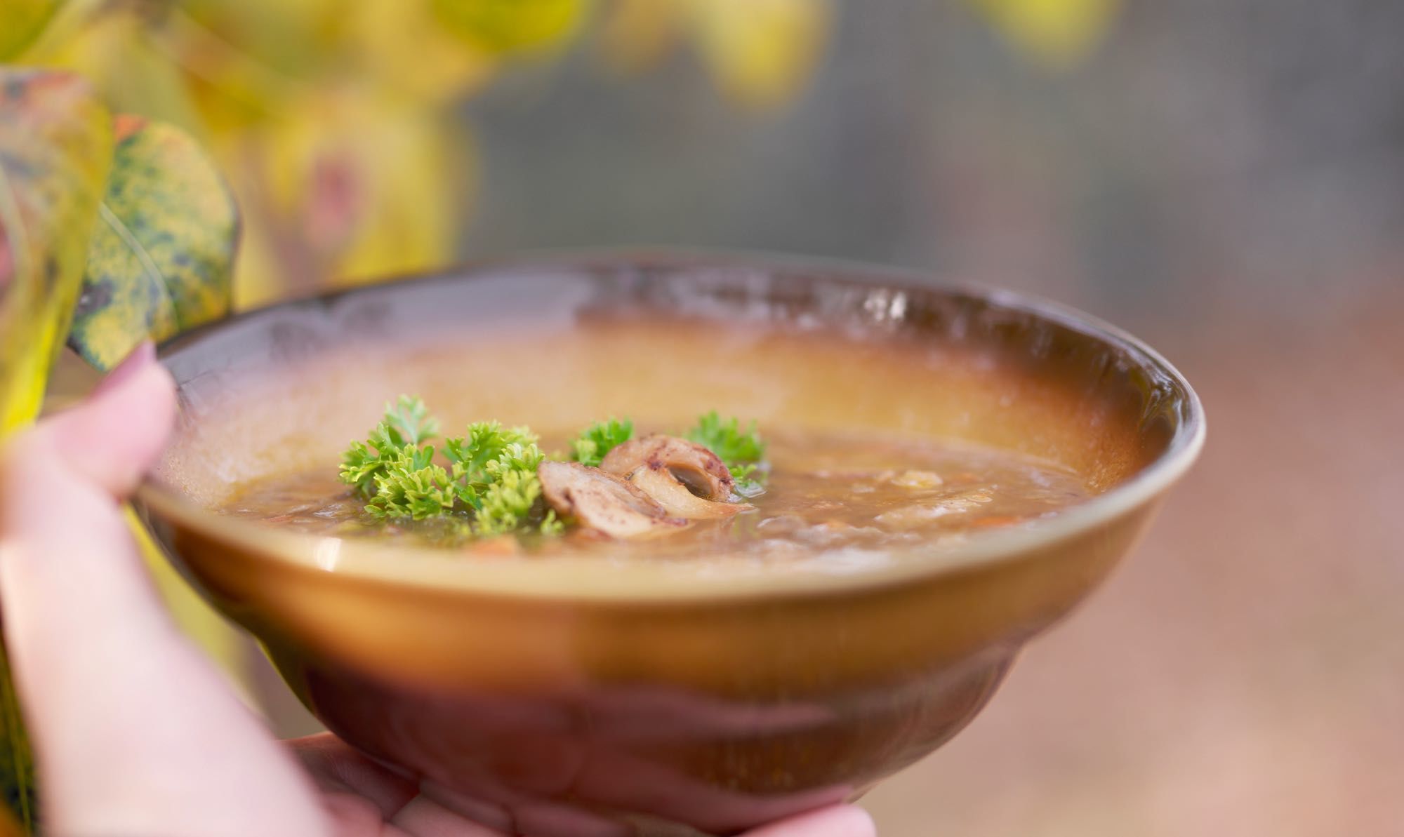 Суп из сушеных грибов с сыром – пошаговый рецепт приготовления с фото