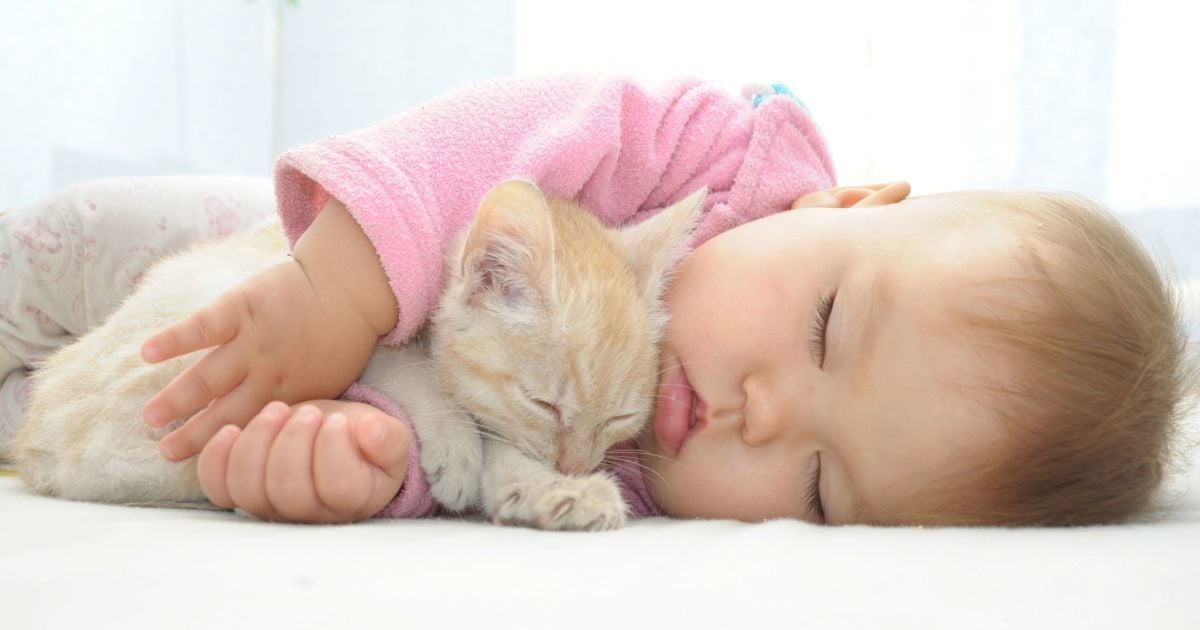 Що робити, якщо ваша дитина не може заснути