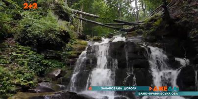 Зачарованная дорога среди карпатских лесов в Ивано-Франковской области