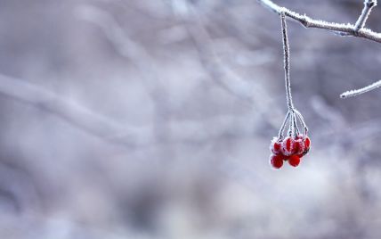 Прогноз погоди на 17 листопада: в Україні буде сніг, місцями ожеледиця, температура - до 6 морозу