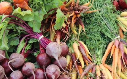 В Україні зростають оптові ціни на моркву та столовий буряк: скільки коштують овочі