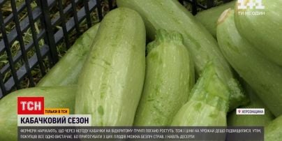 Новини України: початок кабачкового сезону – чому зросли ціни і як на це вплинула погода