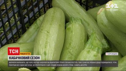 Новини України: початок кабачкового сезону – чому зросли ціни і як на це вплинула погода