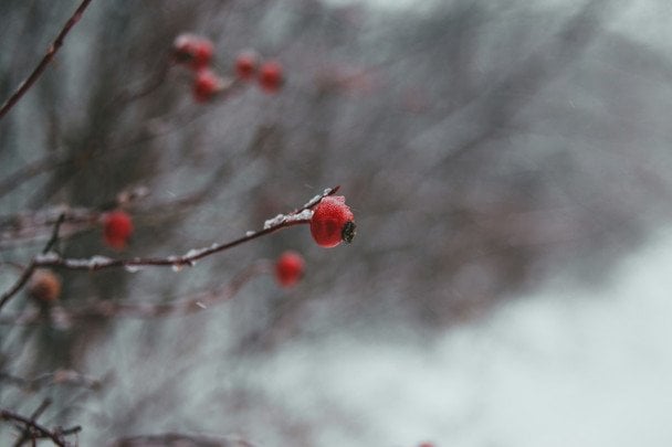 Народні прикмети 20 грудня / © unsplash.com